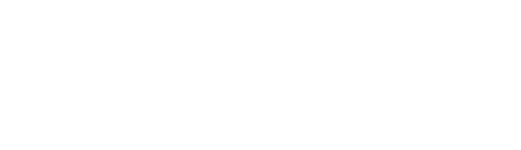 brillect white logo